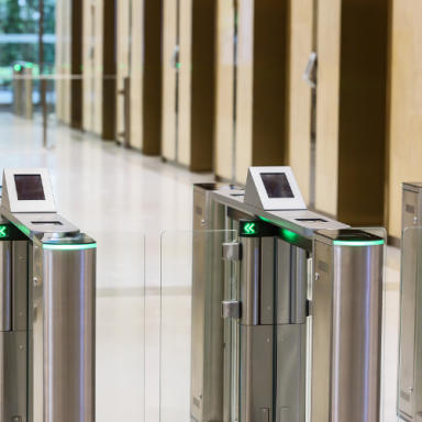 A51N Biometric Access Gates